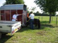 /album/menrit-04-06-2011/zeeuwse-menrit-juni-2011-005-jpg/